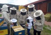 Warsztaty Pszczelarskie dla Małych i Dużych