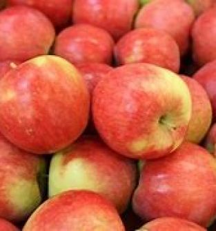 Jabłka odmiany Cortland
