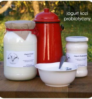 Jogurt probiotyczny z ekologicznego mleka koziego. Naturalny , czysty.
