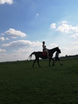 lekcję jazdy konnej