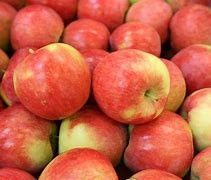 Jabłka odmiany Cortland
