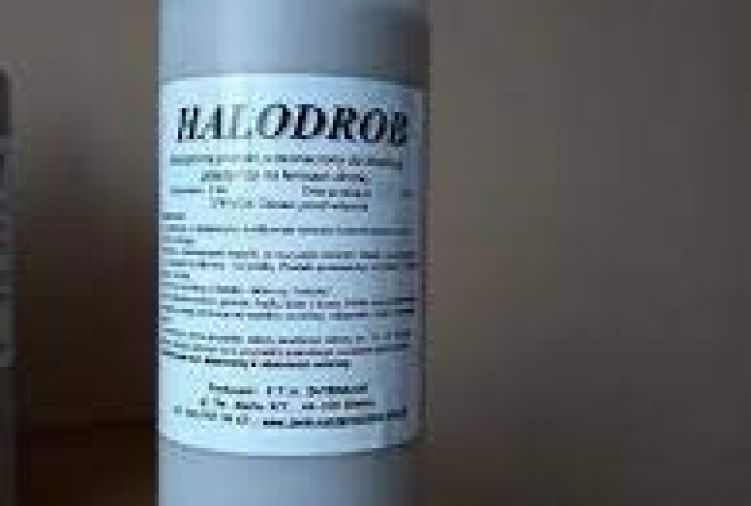 Halodrob produkt na ptaszyńca